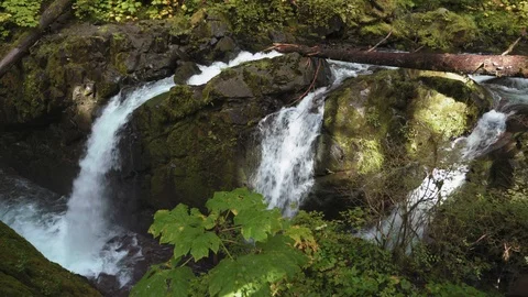 A view of the famous Sol Duc Falls in Olympic National Park. Stock Footage 118796568