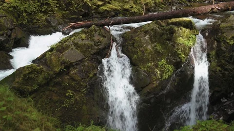 A view of the famous Sol Duc Falls in Olympic National Park. Stock Footage 118796706
