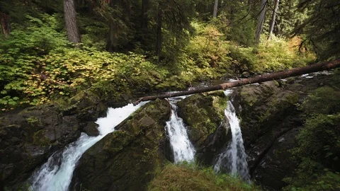 A view of the famous Sol Duc Falls in Olympic National Park. Stock Footage 118796788