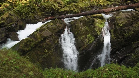 A view of the famous Sol Duc Falls in Olympic National Park. Stock Footage 118796830