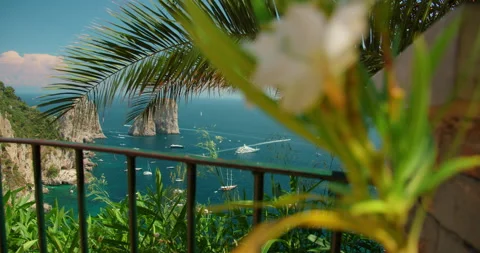 View of Faraglioni sea cliffs framed by palm leaves on summer day in Capri Italy Stock Footage 344699884