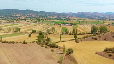 View a farm with a field crops. Stock Footage 284677156
