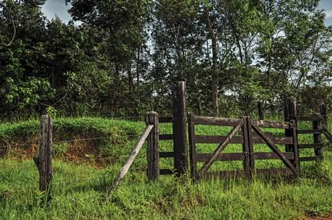 View of farm gateway in front of trees near the town of Joanopolis. Stock Photos