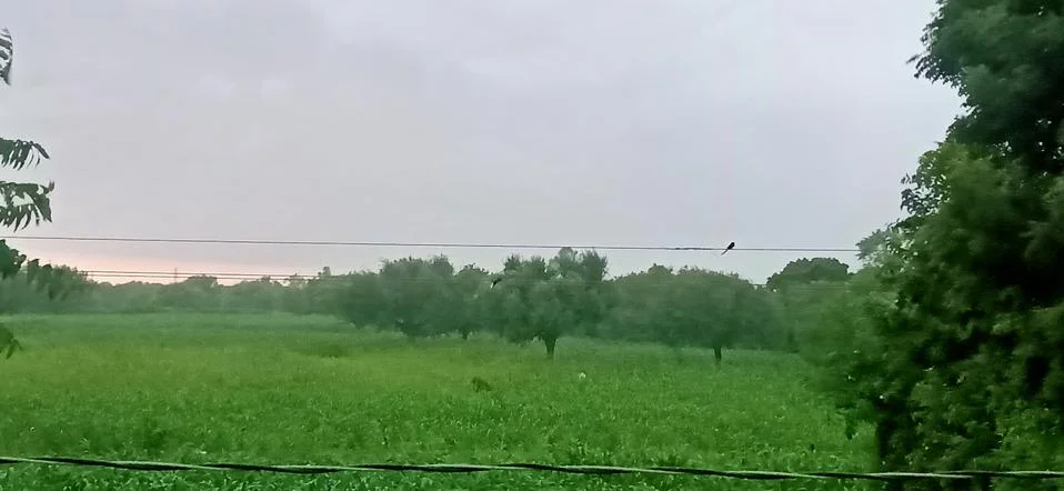 View of the farm at the time of rain Stock Photos