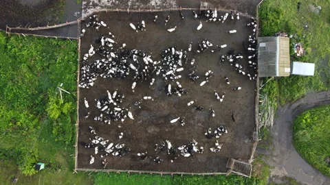 View of the farm upper angle Stock Footage 166601043