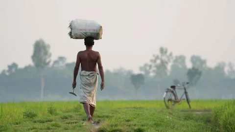 View of a farmer carrying a sack on his head in a field, Bangladesh. 스톡 동영상 334967756