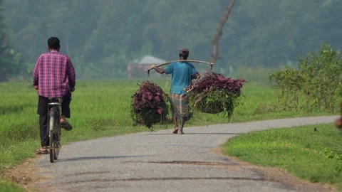 View of a farmer carrying vegetable baskets on a road, Bangladesh. Video stock 334970030