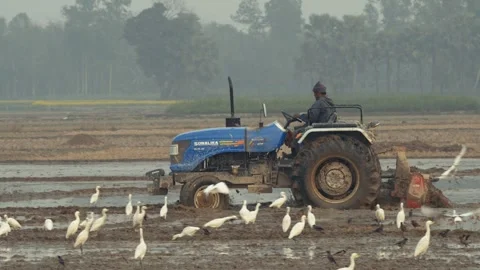 View of a farmer driving a tractor in a muddy field, Bangladesh. Video stock 334986622