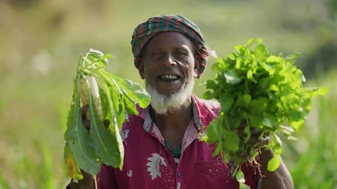 View of a farmer holding fresh vegetables in Bogura, Bangladesh. Stock Footage 335021509