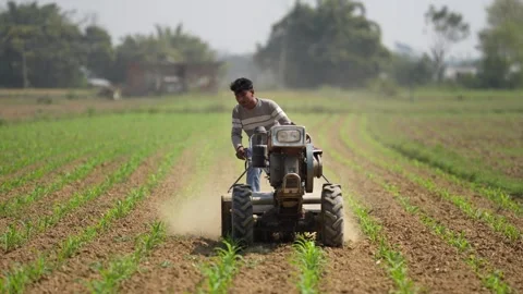 View of a farmer operating a power tiller in a field, Nepal. Video stock 335468474