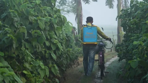 View of a farmer with a sprayer and bicycle in Bogura, Bangladesh. Vídeo Stock 334961842