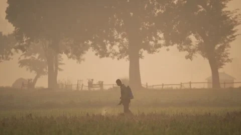 View of a farmer spraying crops in a misty field, Bangladesh. Stock Footage 335593601