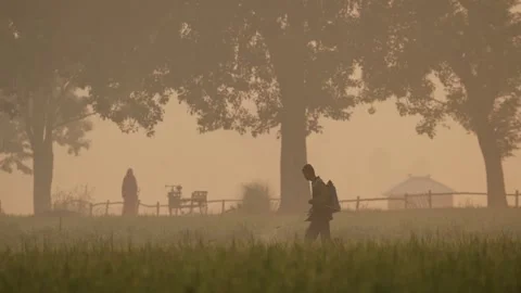 View of a farmer spraying crops in a misty field in Bogura, Bangladesh. Stock Footage 335594019