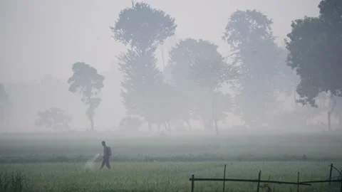 View of a farmer spraying crops in a misty field, Bangladesh. Stock-Footage 335594624