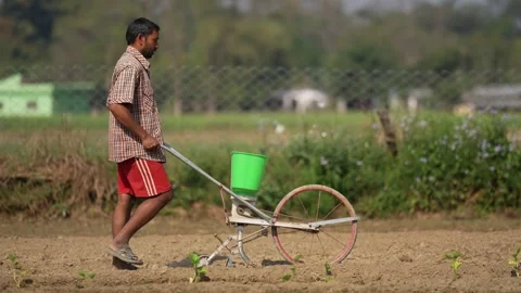 View of a farmer using a manual seed drill in a field, Nepal. Video stock 335477996