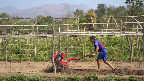 View of a farmer using a motorized tiller in a field, Nepal. 스톡 동영상 335466547