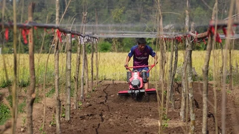 View of a farmer using a power tiller in a field in Nepal. Video stock 335466502