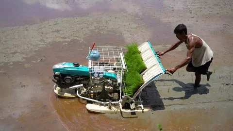 View of a farmer using a rice transplanter in a field, Bangladesh. Stock Footage 334981849