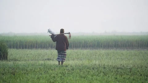 View of a farmer walking through misty fields in Bogura, Bangladesh. Stock Footage 335589637
