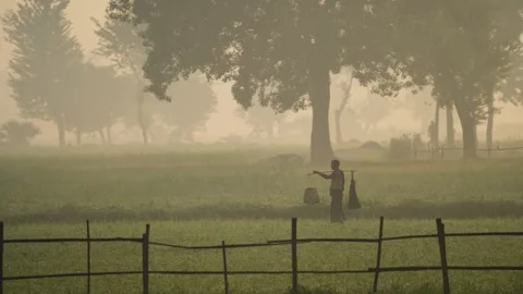 View of a farmer walking through misty fields in Bogura, Bangladesh. Stock Footage 335593166