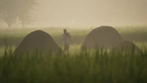View of a farmer working near haystacks in a misty field, Bangladesh. Video stock 335546331