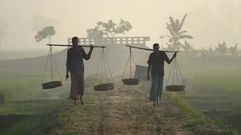 View of farmers carrying baskets on a path in Bogura, Bangladesh. Vídeos de archivo 335598446
