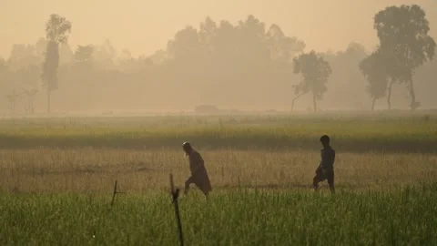 View of farmers walking through misty fields in Bogura, Bangladesh. Video stock 335587119
