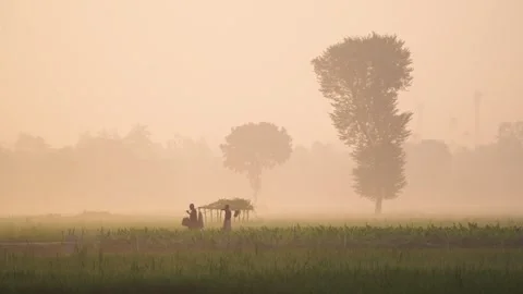 View of farmers walking through misty fields in Bogura, Bangladesh. Vídeo Stock 335591768