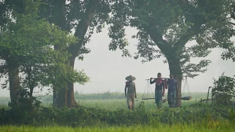 View of farmers walking through rural fields in Bogura, Bangladesh Stock Footage 335589395