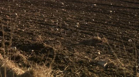 View of farming land Stock Footage