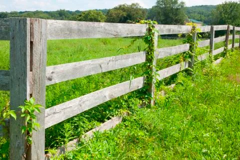 View of the farmland. Stock Photos