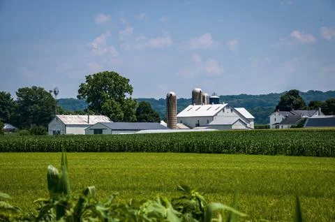 View of Farmlands with Fields of Corn and Alfalfa, Barns and Silos Stock Photos