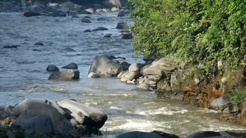 View of a fast flowing mountain river Stock Footage 320979297