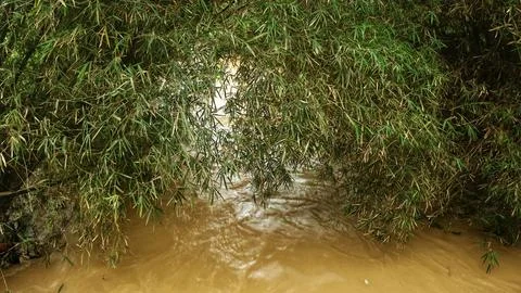 A view of a fast-flowing muddy river Stockfoto's