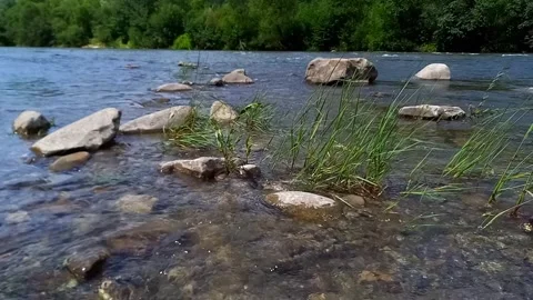 View of fast flowing water of Cheremosh mountain river. Ukraine 스톡 동영상 282057912