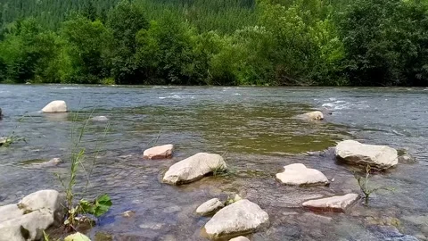 View of fast flowing water of Cheremosh mountain river. Ukraine Stock Footage 282128954