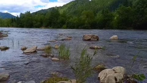 View of fast flowing water of Cheremosh mountain river. Ukraine Stock Footage 282128965