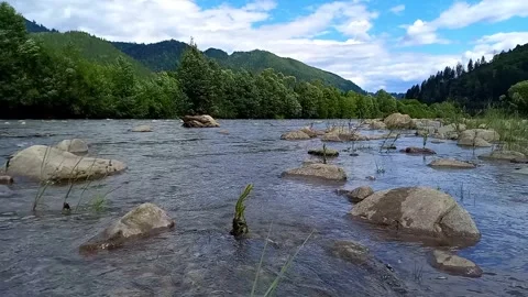 View of fast-flowing water of Cheremosh mountain river. Ukraine Video stock 282129057