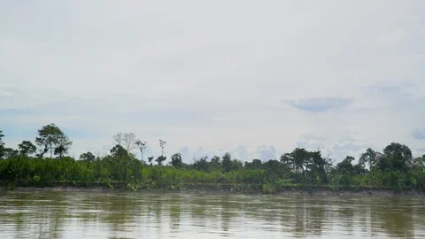 View from fast sailing boat on the Napo river Stock Footage 112416982
