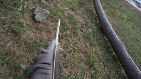 View of a feather by a lake in Canada Stock Footage 133849813