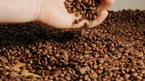 View of female hands with roasted coffee beans pouring out of cupped hands in bu Stock Footage 212905444
