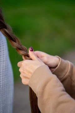 View of female hands weaving a braid from long female hair Stock Photos