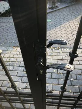 View of the fence. Stock Photos