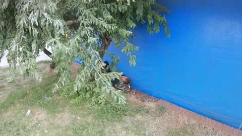 View from the ferris wheel 스톡 동영상 116270487