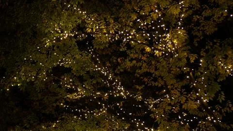View of festive light up illumination decoration in christmas new year cele.. Stock Footage 248777915