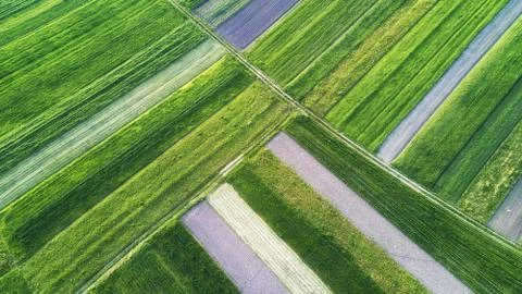 View on the field from air Stock Photos