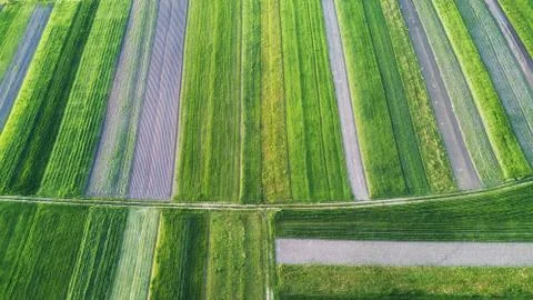 View on the field from air Stock Photos