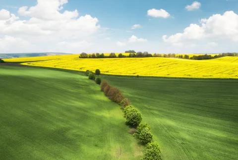 View on the field from air Stock Photos