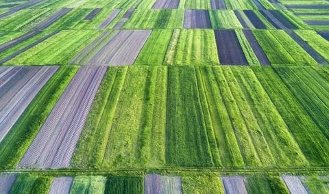 View on the field from air Stock Photos