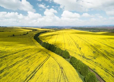 View on the field from air Stock Photos